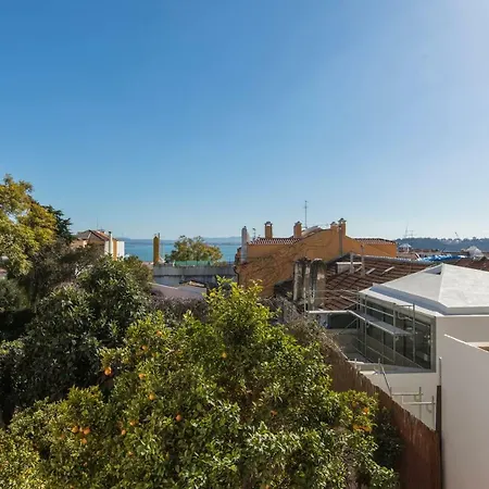 Lapa View Apartment